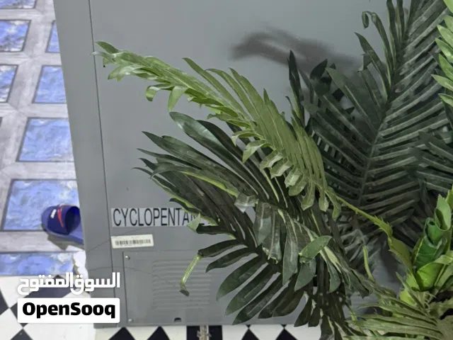 فريز نضيف اخو جديد