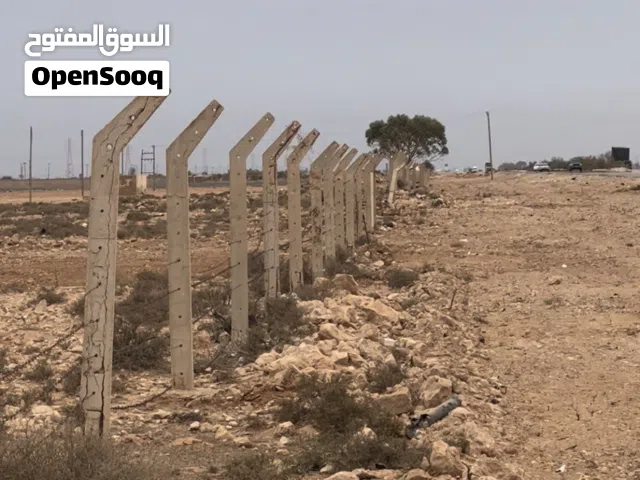 4 هكتار و1000 متر على رئيس بعد تيكه