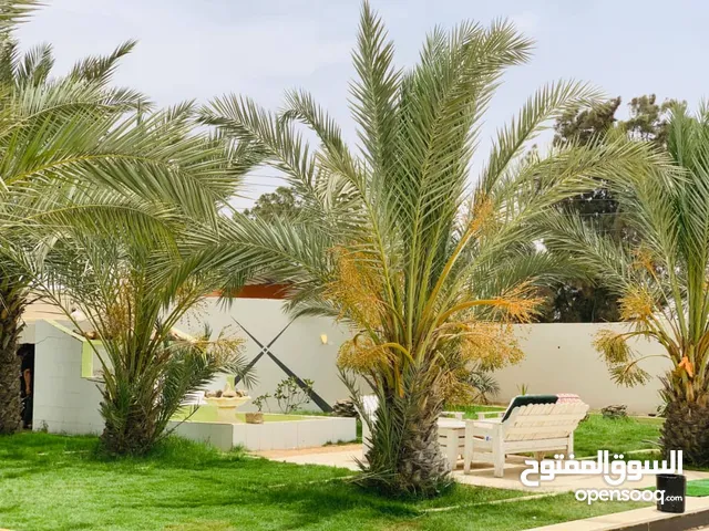 2 Bedrooms Chalet for Rent in Sabratha Talil