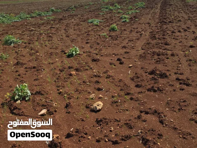 Farm Land for Sale in Idlib Other