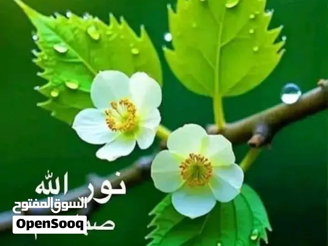 مطلوب إستبدال