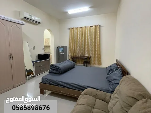 1 m2 Studio Apartments for Rent in Al Ain Al Jimi