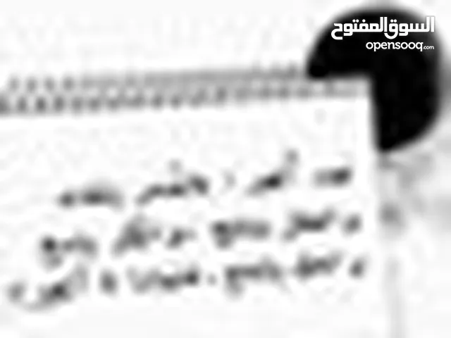 مرتضى ابو سما