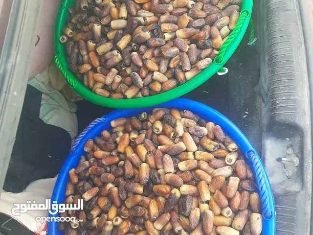 تمر نغال لحبه لكبيره