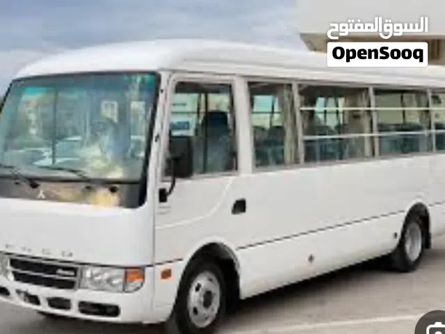 2008 ميتسوبيشي اخرى