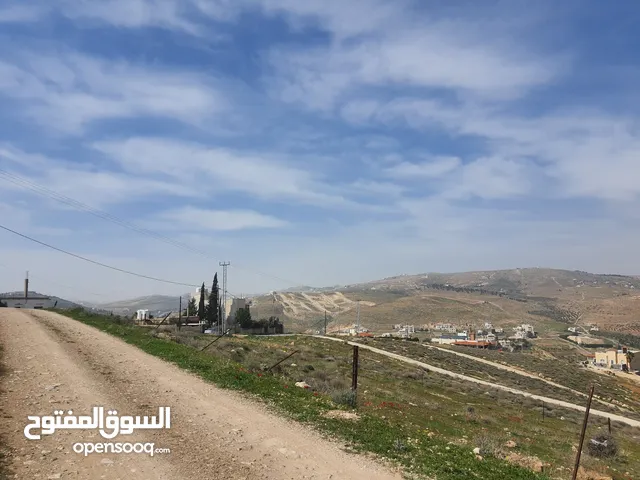 Residential Land for Sale in Zarqa Birayn