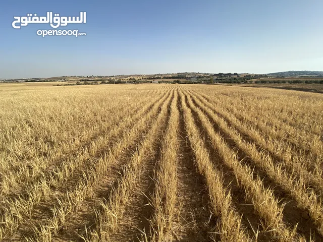 Farm Land for Sale in Madaba Dalilet Al-Hamaideh