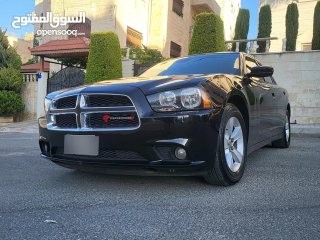 Used Dodge Charger in Amman