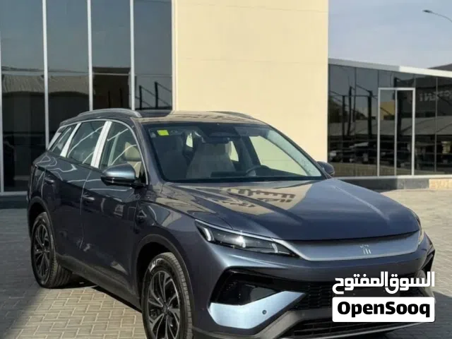 2025, بي واي دي, سونج برو