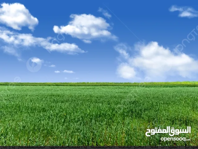 ارض تجارية كثييير ممتازة لبناء شركة أو مخازن