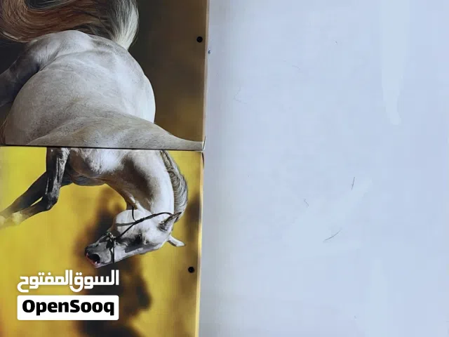 لوحه حصان متكامله