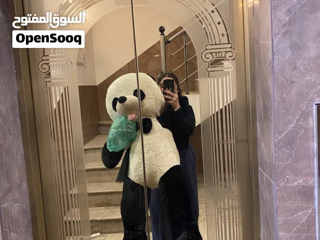 دب باندا كبير جداً جديد