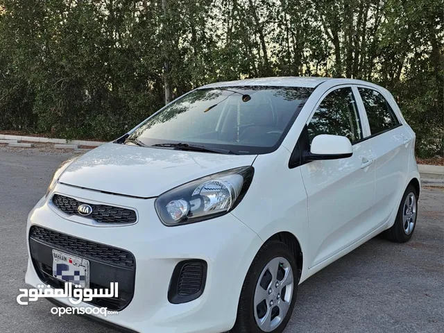 # KIA PICANTO ( YEAR-2017) WHITE HATCHBACK CAR FOR SALE 35 66 74 74