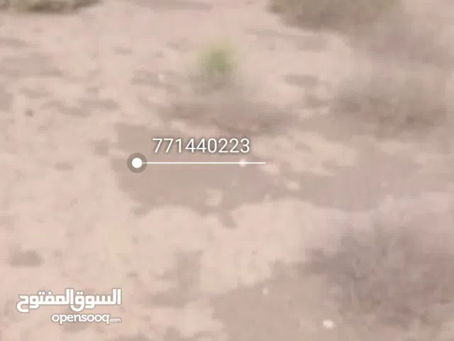 اعلان رقم 1244 الحديده ارض للبيع فرصه ماتتعوض