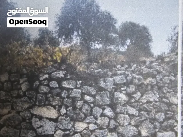 قطعة ارض للبيع