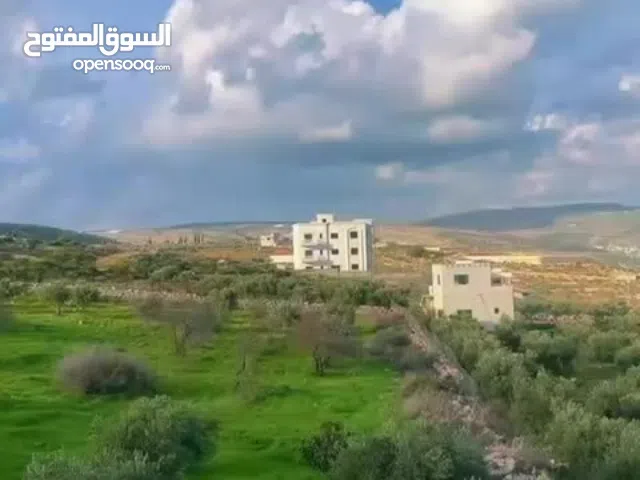 Residential Land for Sale in Nablus Taluza