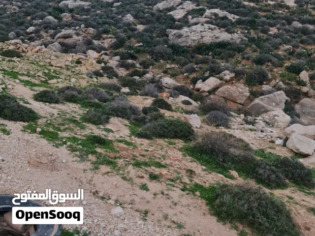 ارض نصف دونم منطقة أ