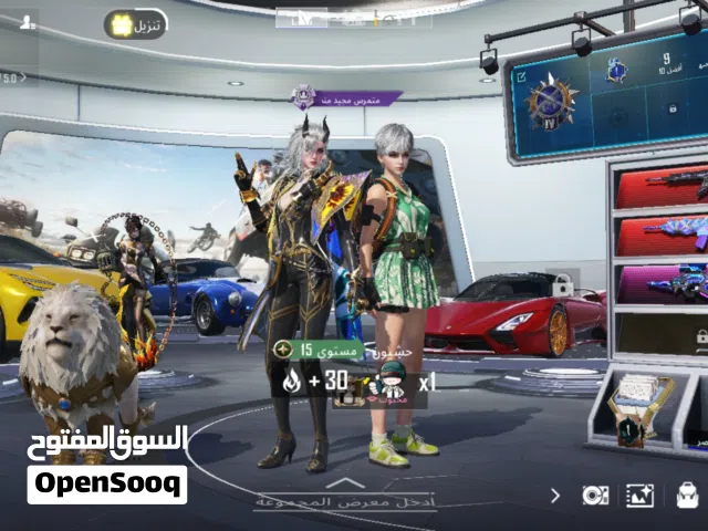 Pubg Accounts and Characters for Sale in Basra