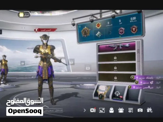 Pubg Accounts and Characters for Sale in Amman