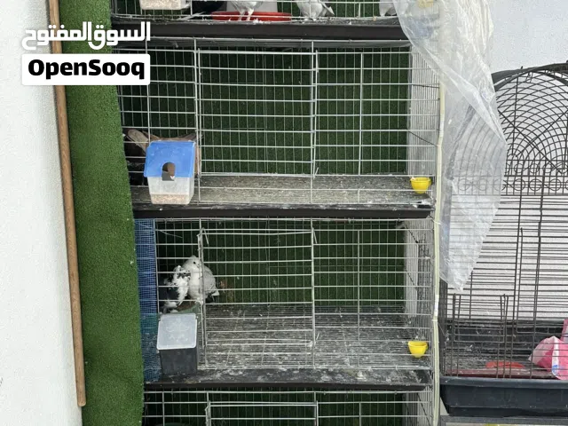 بارتي حمام رباعي حديد متكامل