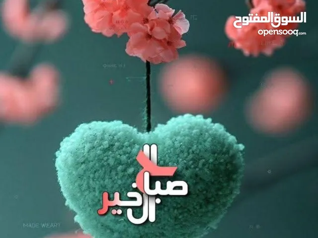 مطلوب غرفة أو شقة مفروشة علخفيف