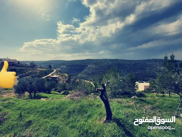 ارض نص دونم في بتير،  عالية ومطلة تصنيف بي