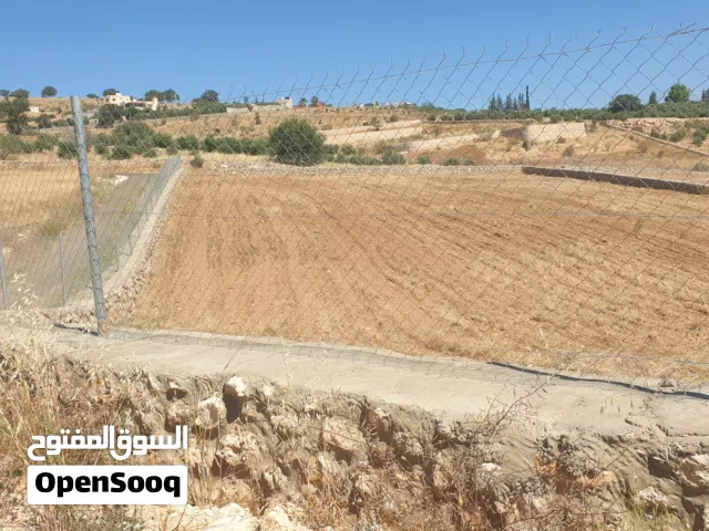 Farm Land for Sale in Zarqa Al-Alouk