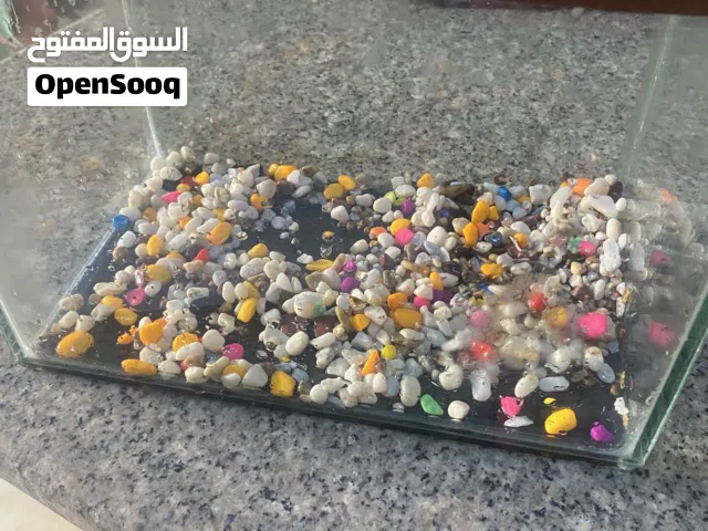 حوض سمك للبيع