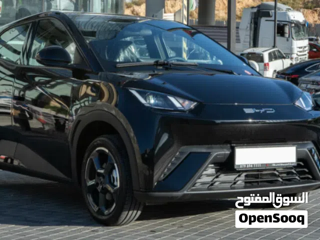 2024 بي واي دي سيجول