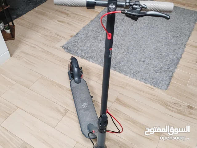 Windhorse e-Scooter T1