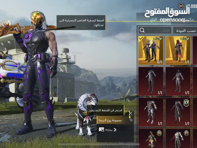 Pubg Accounts and Characters for Sale in Al Wustaa