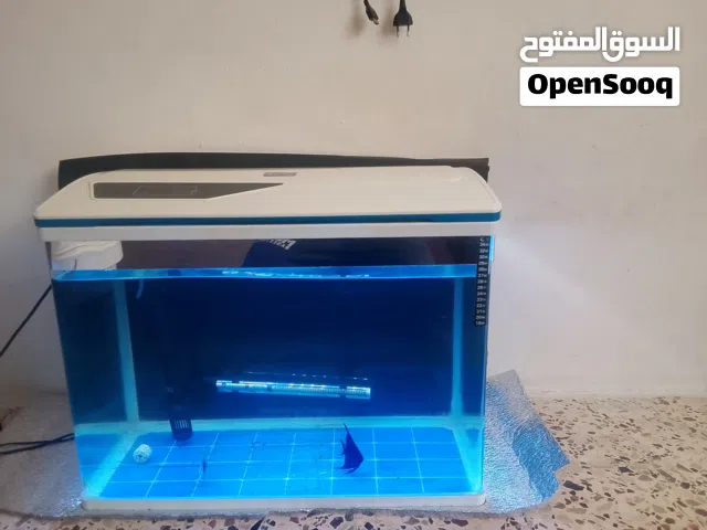حوض سمك اجنبي