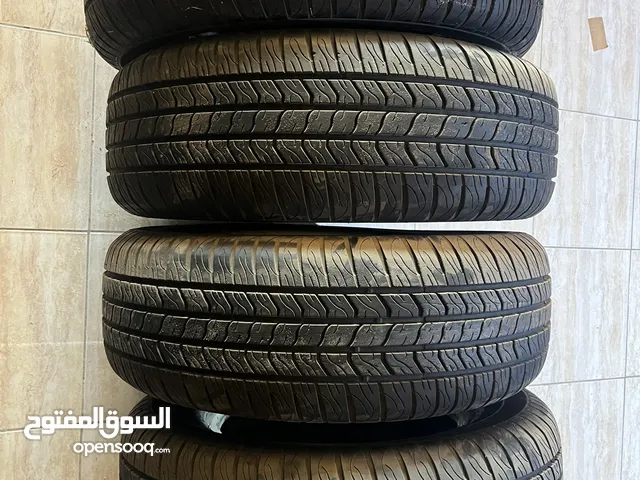 سارية 17 65 265 إستعمال أوروبي