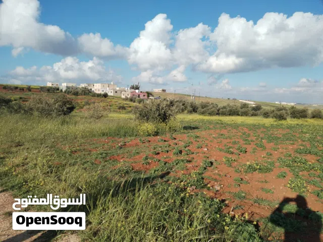 Farm Land for Sale in Mafraq Rhab