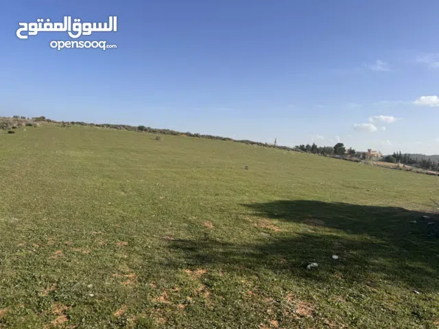 هكتار في منطقة غنيمة