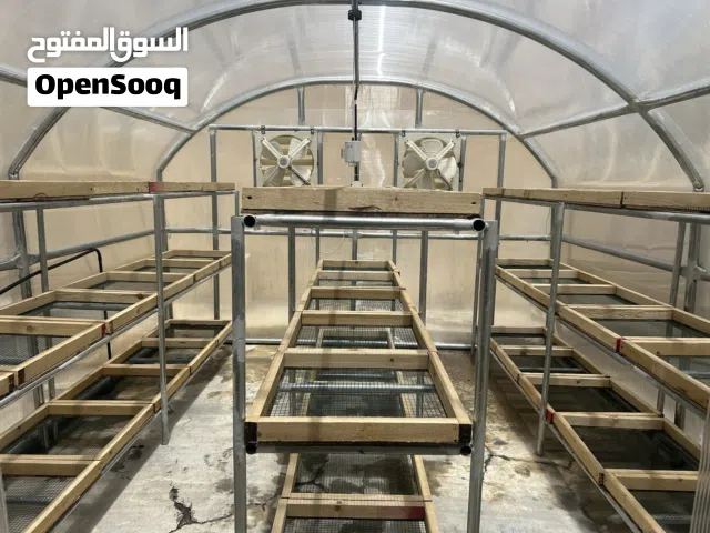 غرفة تجفيف التمور