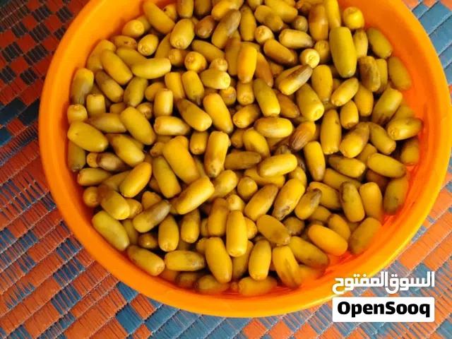 يوجد لدينا رطب النغال تواصل رقم تحت