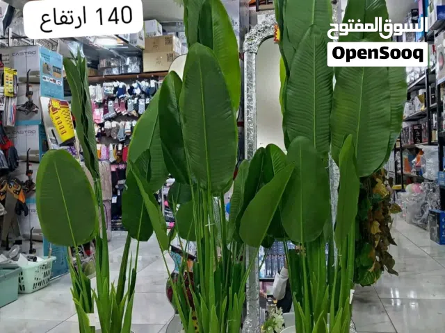 شجر موز. صناعي