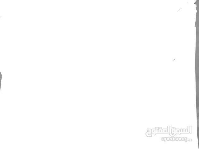 نعجتين و فحل النعجات الصغيره و البصفها و الفحل ابو راس الاحمر الوصف