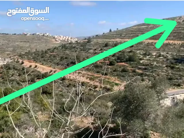 Residential Land for Sale in Ramallah and Al-Bireh Surda