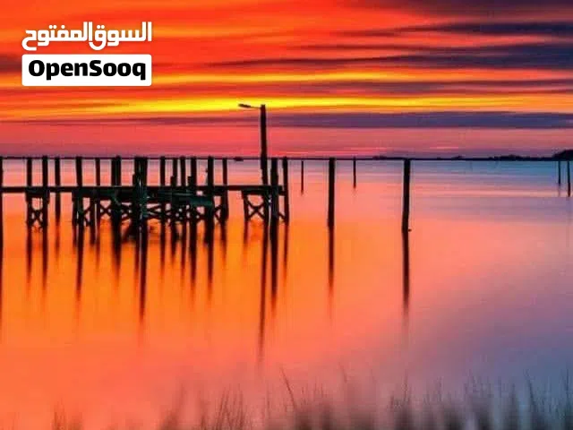 ابحث عن ورشة مكانيكا للايجار