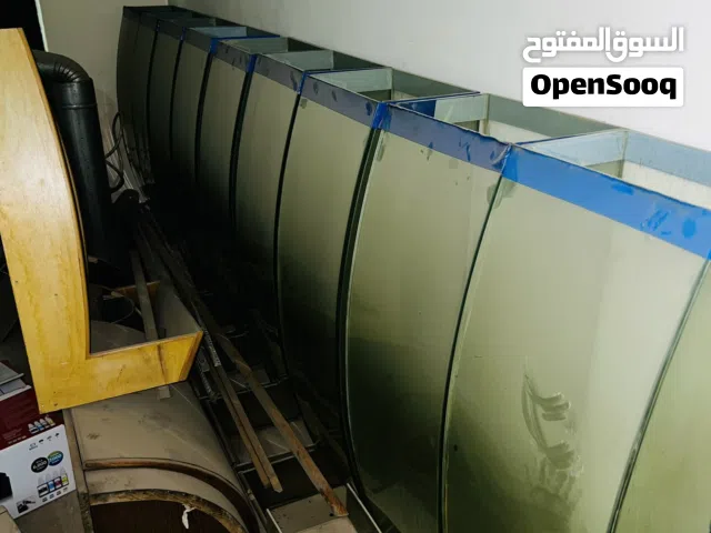 بتارين و رفوف