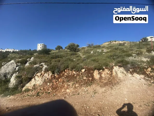 ارض للبيع في مدينة نابلس/ نابلس الجديدة