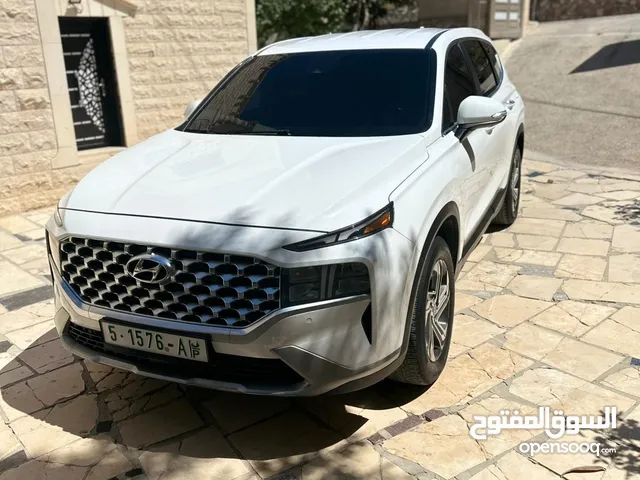 سانتفي 2020