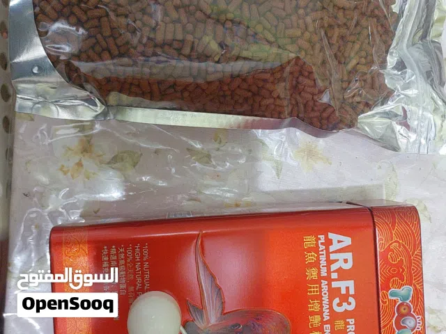 arowana fish food