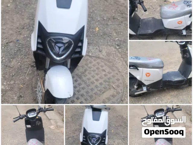 رقم الوحة 6630