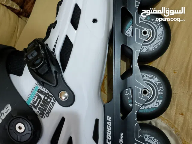 المقاس 43 والسعر2200