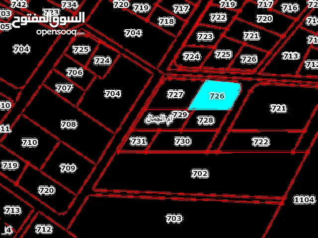 قطعة ارض داخل التنظيم منشية السلطة الزعتري