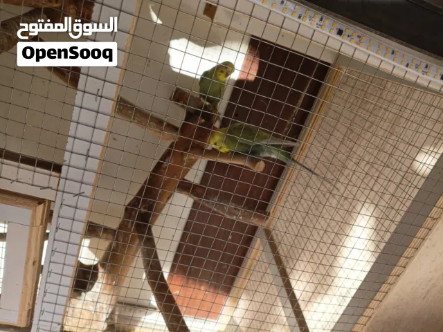 السلام عليكم اقرأ الوصف