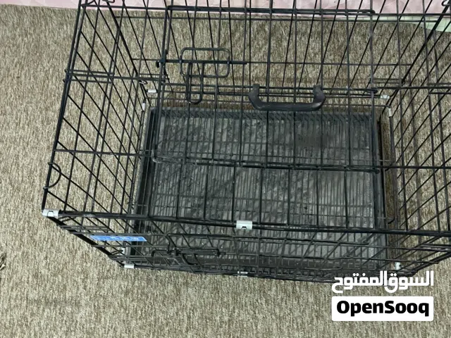 متاح قفص كبير جديد